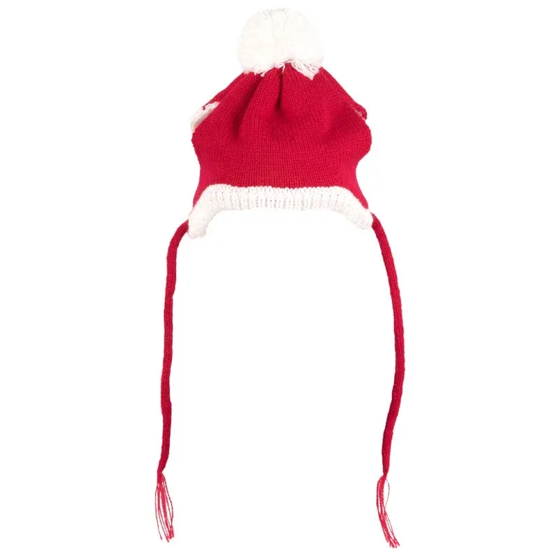 WORTHY DOG | Santa Hat