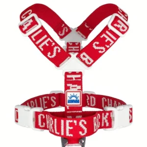 "Y" Shape Trip Harness for Dogs (FINAL SALE)