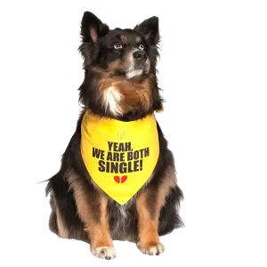 Yeah, We Are Both Single Dog Bandana by Dog Fashion Living