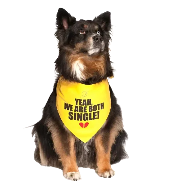 Yeah, We Are Both Single Dog Bandana by Dog Fashion Living