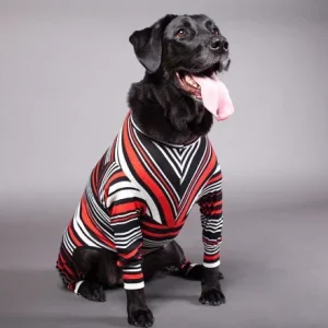 YELLOW HYDRANT | Black and Coral Stripe Pajamas