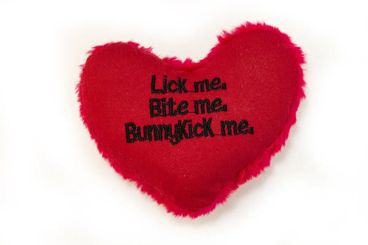 Yeowww Hearrrt Attack Catnip Cat Toy Lick me, Bite me, Bunnykick me