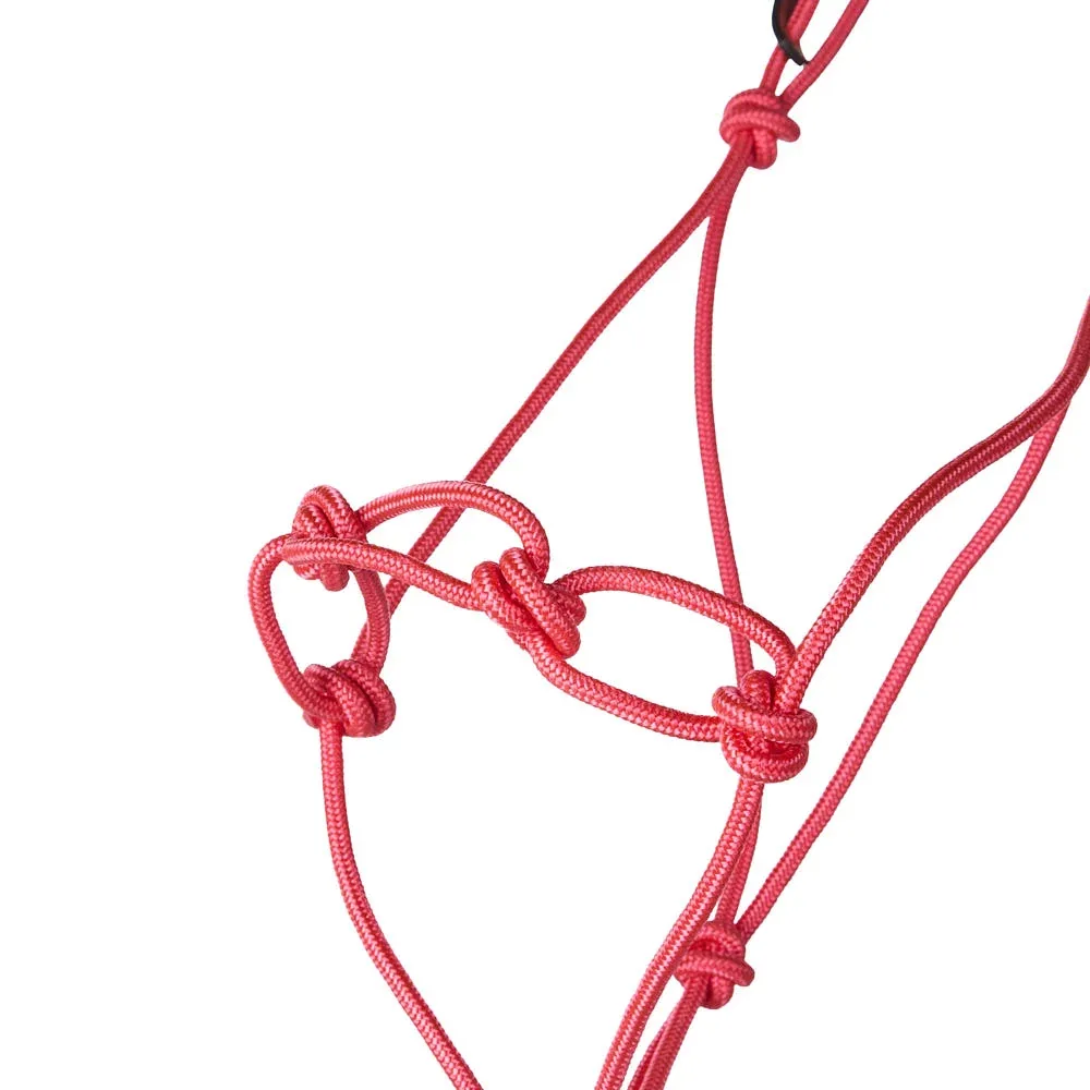 Yoder Equine Products Chain Knot Rope Halter with Atatched Lead Rope - Image 2