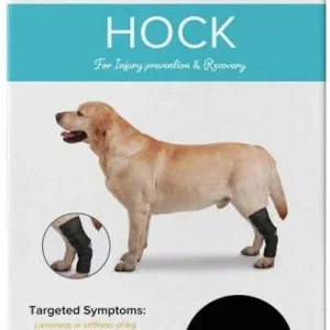 ZenPet Hock Protector Ortho Wrap
