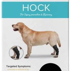 ZenPet Hock Protector Ortho Wrap