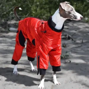 ZIPPY DYNAMICS | Full Body Suit in Red