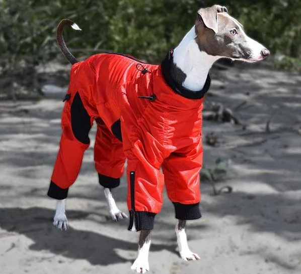 ZIPPY DYNAMICS | Full Body Suit in Red