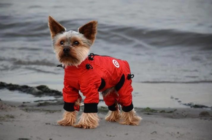 ZIPPY DYNAMICS | Full Body Suit in Red - Image 2