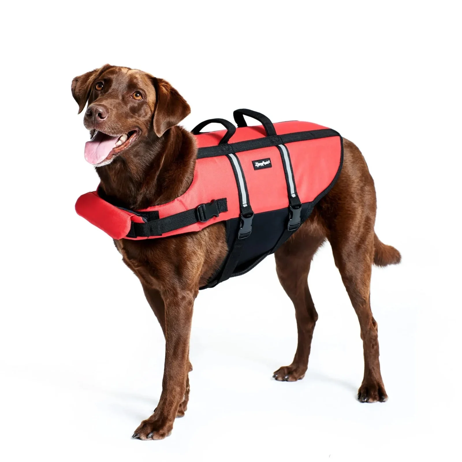 ZippyPaws Adventure Dog Life Jacket Girth 16-20in Small - Image 2