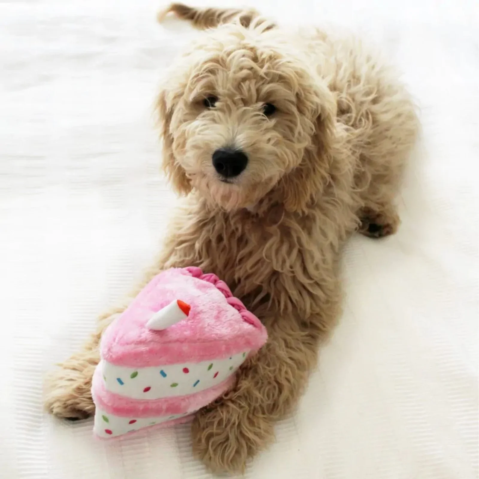 ZippyPaws Birthday Cake Dog Toy Pink 1ea/MD - Image 2