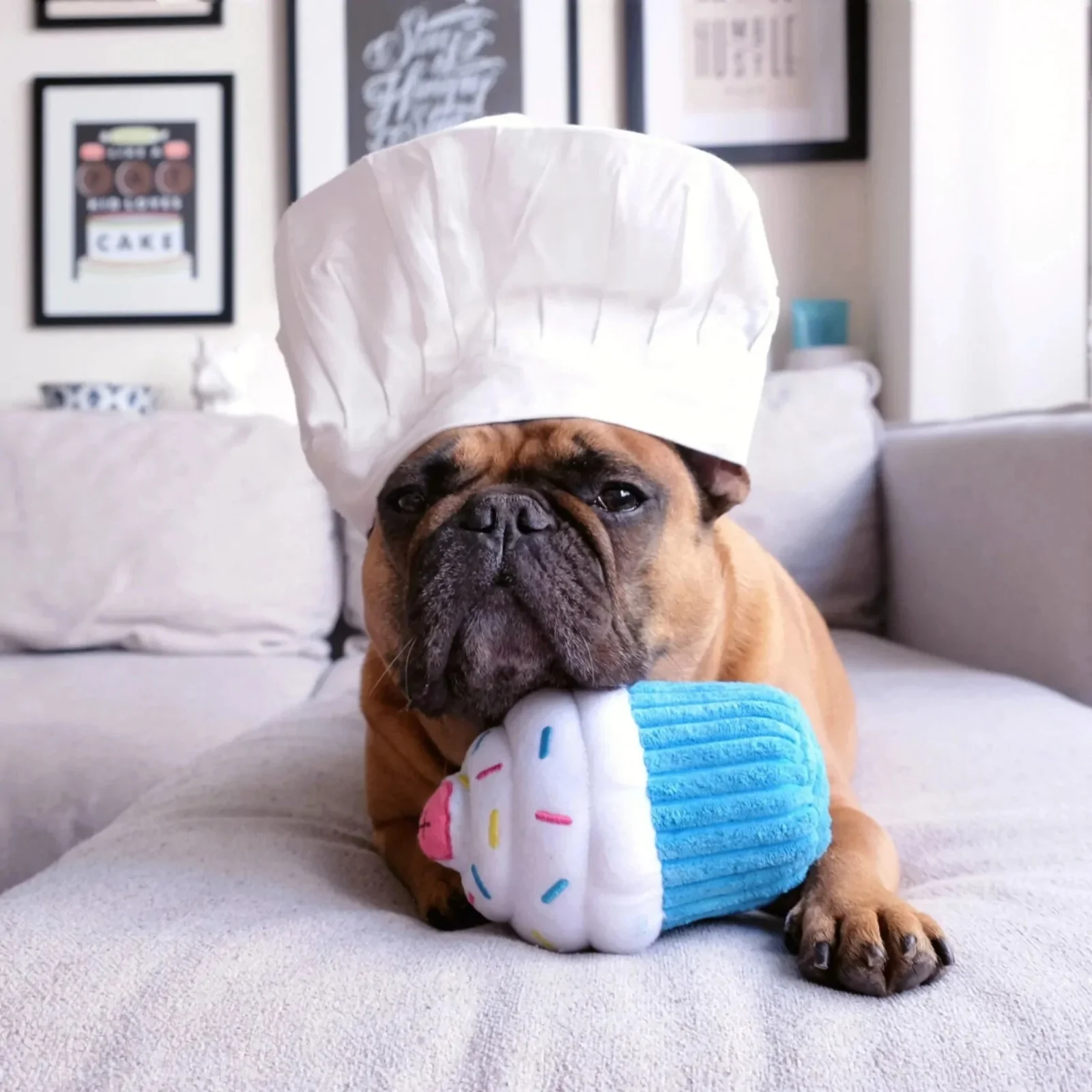 ZippyPaws Cupcake Dog Toy Blue Medium - Image 2