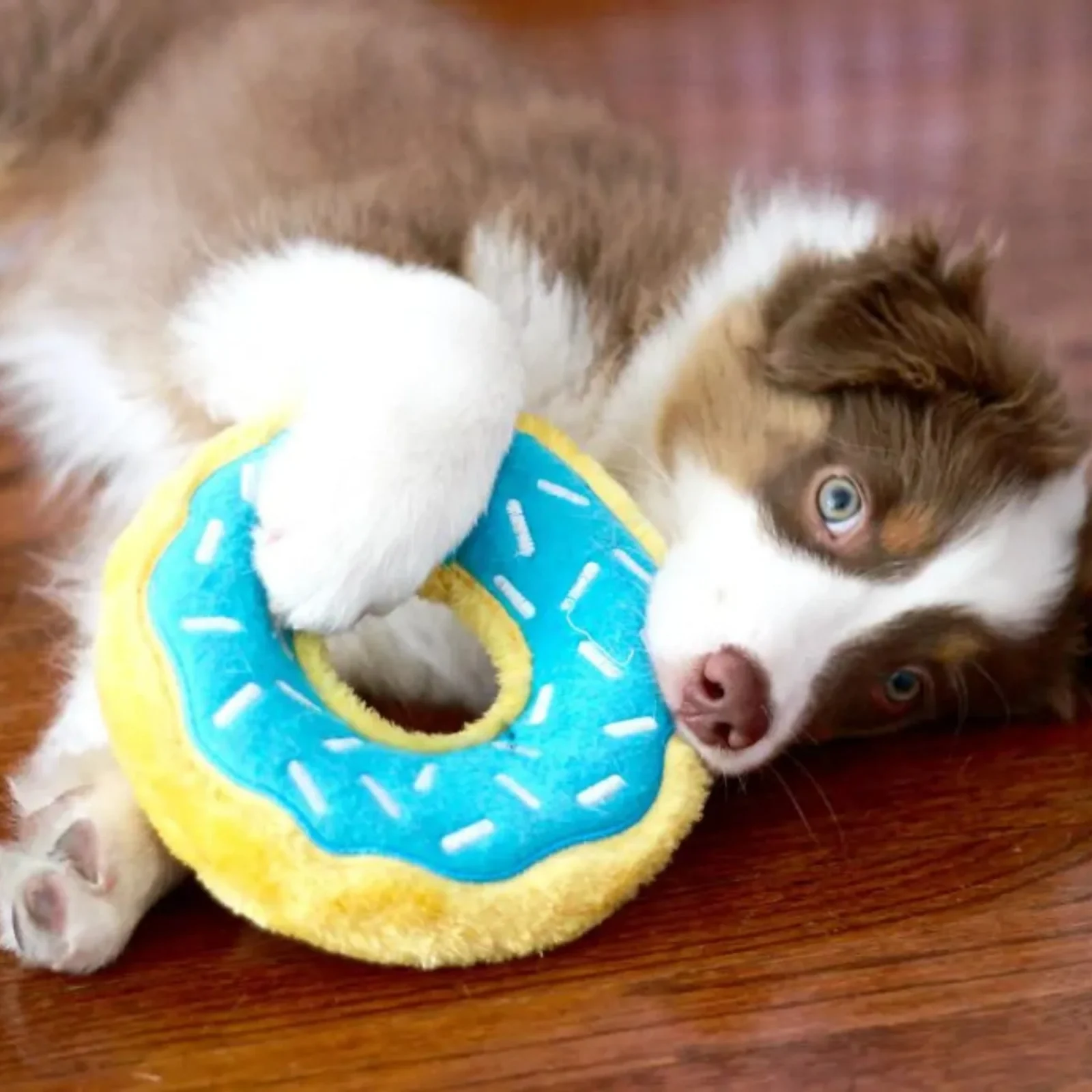 ZippyPaws Donutz Dog Toy Blueberry Medium - Image 2