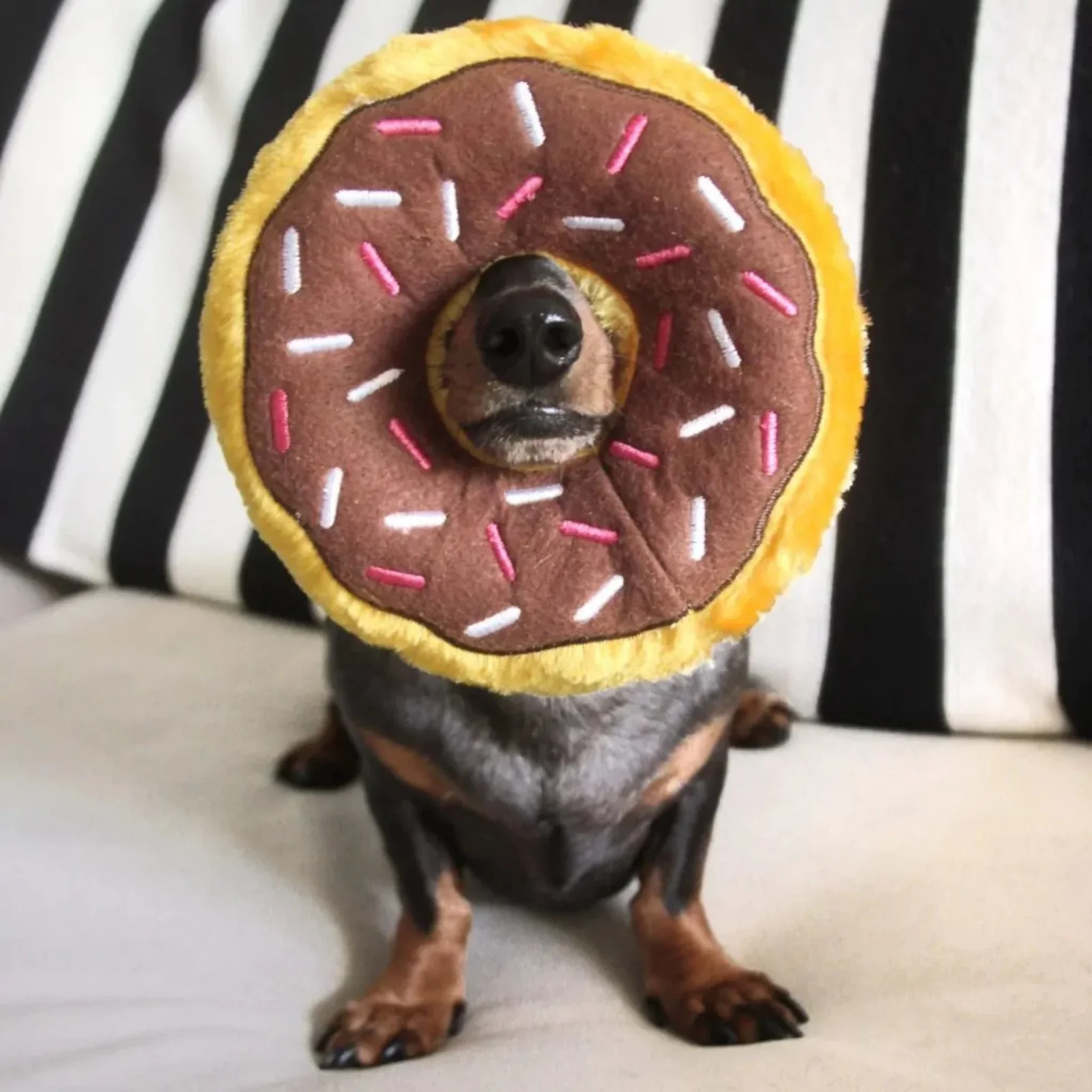 ZippyPaws Donutz Dog Toy Chocolate Medium - Image 2