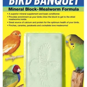Zoo Med Bird Banquet Mineral Block Mealworm Formula Large