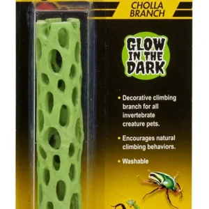Zoo Med Creatures Cholla Branch Glow in the Dark