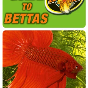Zoo Med Guide to Bettas Book