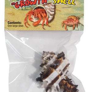 Zoo Med Hermit Crab Growth Shell Assorted, Large, 1 ct