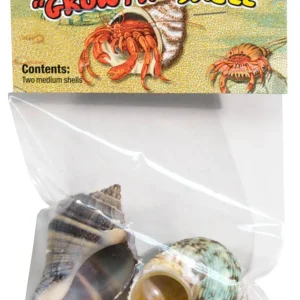 Zoo Med Hermit Crab Growth Shell Assorted, Medium, 2-Count