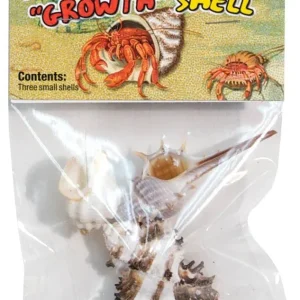 Zoo Med Hermit Crab Growth Shell Assorted, Small, 3-Count