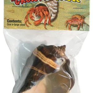 Zoo Med Hermit Crab Growth Shell Assorted, X-Large, 1 ct