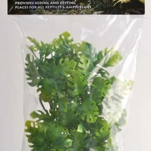 Zoo Med Natural Bush Amazonian Phyllo Plants, Green, 14 in, Small