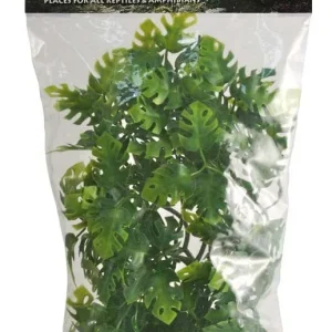 Zoo Med Natural Bush Amazonian Phyllo Plants, Green, 18 in, Medium