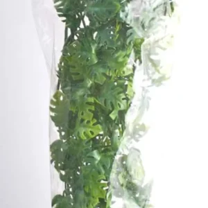 Zoo Med Natural Bush Amazonian Phyllo Plants, Green, 22 in, Large