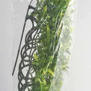 Zoo Med Natural Bush Bolivian Croton Plants, Green, 22 in, Large