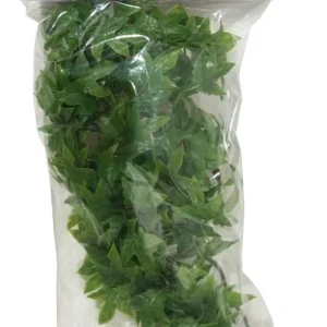 Zoo Med Natural Bush Congo Ivy Plants, Green, 14 in, Small