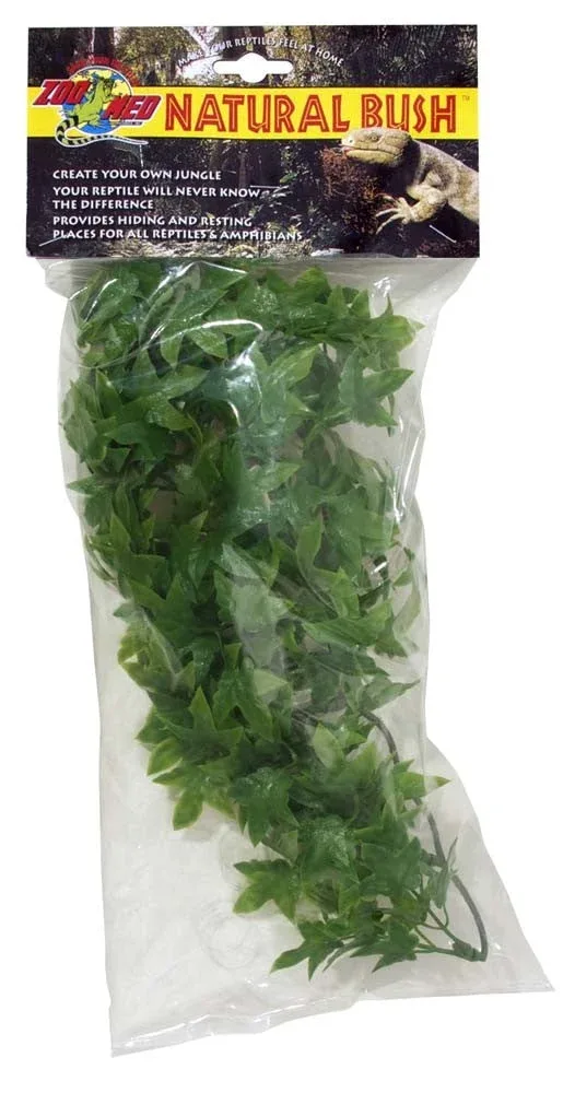 Zoo Med Natural Bush Congo Ivy Plants, Green, 14 in, Small