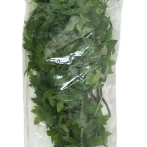 Zoo Med Natural Bush Congo Ivy Plants, Green, 18 in, Medium