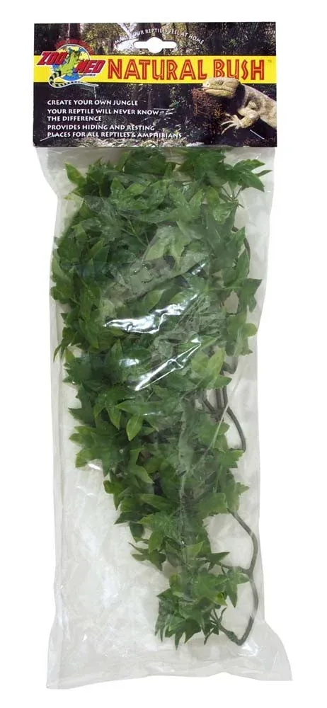 Zoo Med Natural Bush Congo Ivy Plants, Green, 18 in, Medium