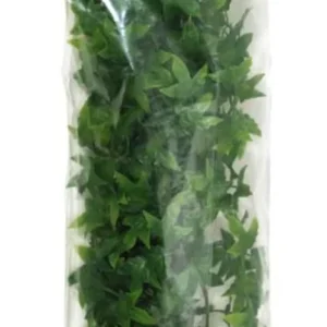 Zoo Med Natural Bush Congo Ivy Plants, Green, 22 in, Large