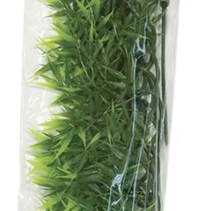 Zoo Med Natural Bush Madagascar Bamboo Plants, Green, 22 in, Large