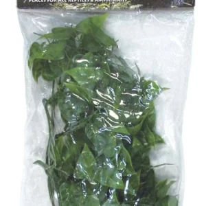 Zoo Med Natural Bush Mexican Phyllo Plants, Green, 14 in, Small