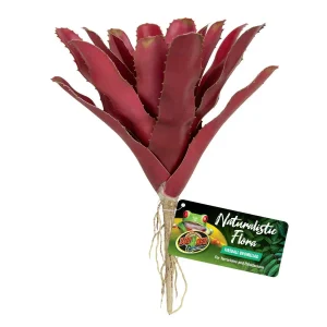 Zoo Med Naturalistic Flora Chestnut Bromeliad Terrarium Plant, Purple, Tan