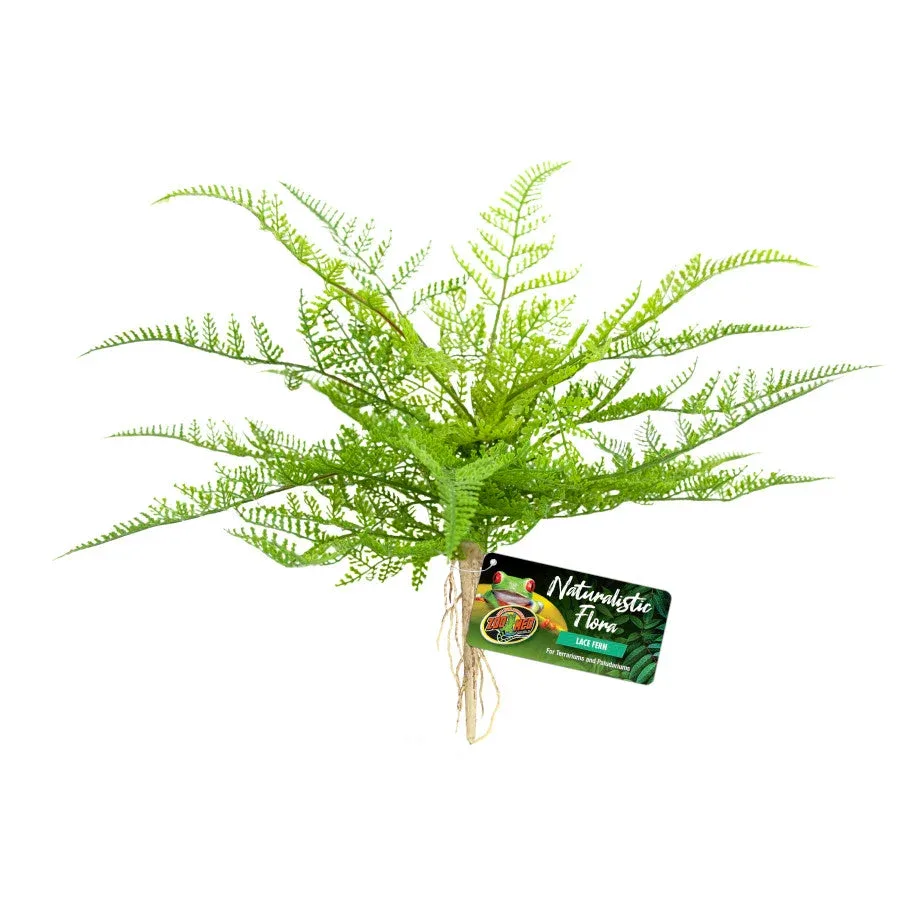 Zoo Med Naturalistic Flora Lace Fern Terrarium Plant, Green, Tan - Image 2