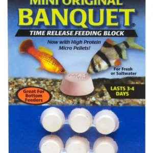 Zoo Med Original Banquet Fish Feeding Block 0.3 oz, Mini