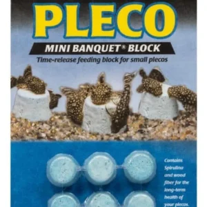 Zoo Med Pleco Banquet Fish Feeding Block Mini