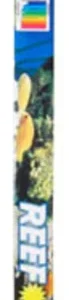 Zoo Med Reef Sun 50/50 Actinic Daylight T8 Lamp, White, 48 in