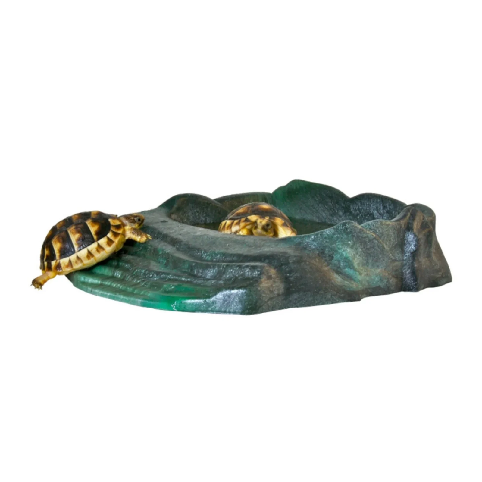 Zoo Med Repti Ramp Bowl, Black Large