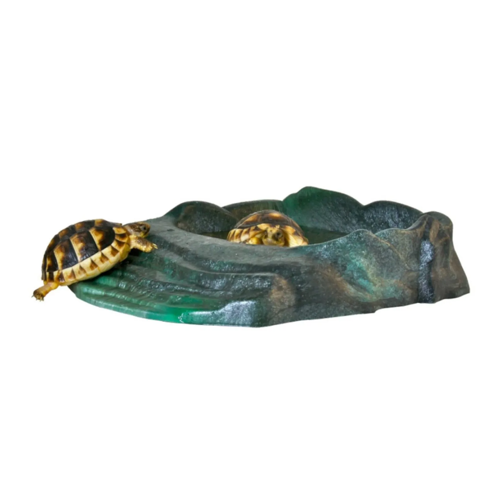 Zoo Med Repti Ramp Bowl, Black Large