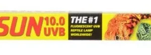 Zoo Med ReptiSun 10.0 UVB T8 Fluorescent Lamp, White, 18 in